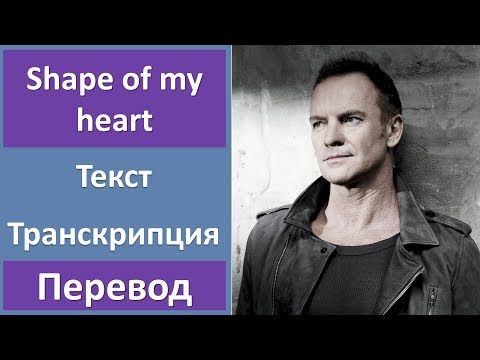 Видео: Sting - Shape of my heart - текст, перевод, транскрипция