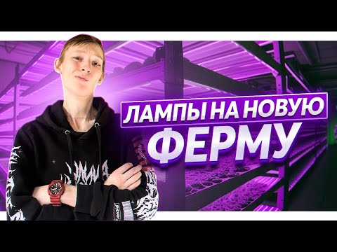Видео: Затариваю лампы для микрозелени! Как сэкономить?