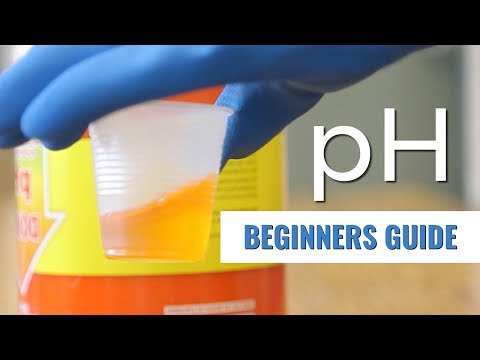 Видео: Руководство для начинающих: pH в гидропонике