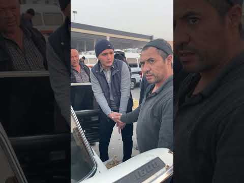 Видео: УЗУМЛАР ТАЛАМОН Олтиариқ узум бозор