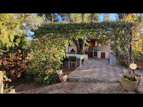 Видео: Влог: Январский сад и розы,ящик с био овощами и беляши