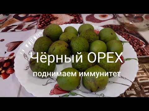 Видео: ЧЕРНЫЙ ОРЕХ 🍸 Настойка из ореха  Лечит Все!