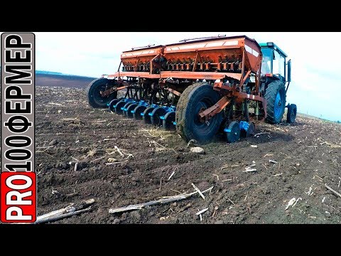 Видео: Теперь она сеет как Great Plains. Посев и всходы ячменя.