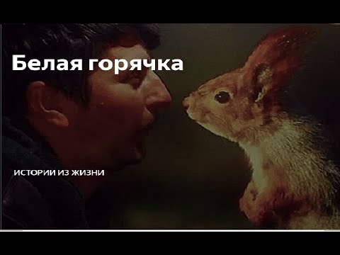 Видео: Белая горячка! часть 1 (испытано на себе)