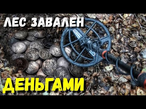 Видео: ЗДЕСЬ ВСЁ ЗАВАЛЕНО ДЕНЬГАМИ. НАХОДКИ В ЛЕСУ
