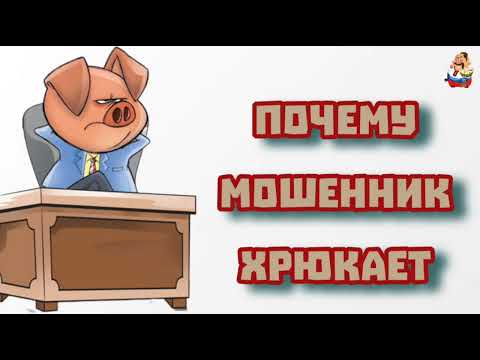 Видео: ПОЧЕМУ МОШЕННИК ХРЮКАЕТ (0:31)