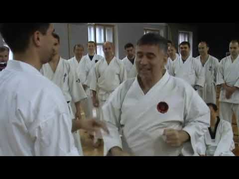 Видео: Ката Санчин и эффективный удар⭐️