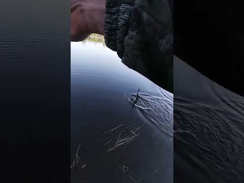 Видео: первые поклёвки нового сезона