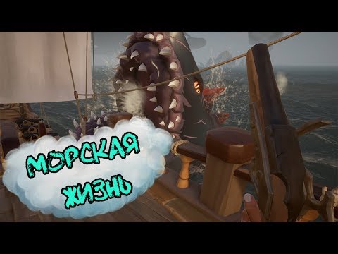 Видео: Морская жизнь (mix)