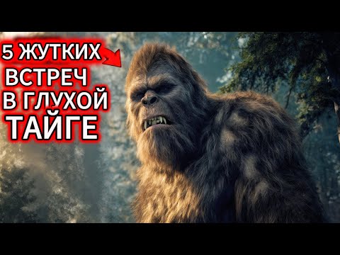 Видео: ТАЙГА НЕ ПРОЩАЕТ: 5 историй, после которых ты БОЛЬШЕ НИКОГДА не пойдёшь в лес ОДИН.