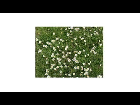 Видео: FACE - Пробел (2023, Prod. by LAGUNE)