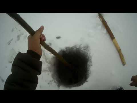 Видео: Проверка крючков и не только 28 10 2023