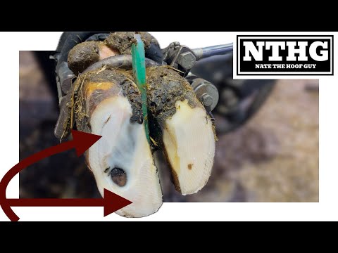 Видео: ВСЕ ОТРЫВАЕТСЯ