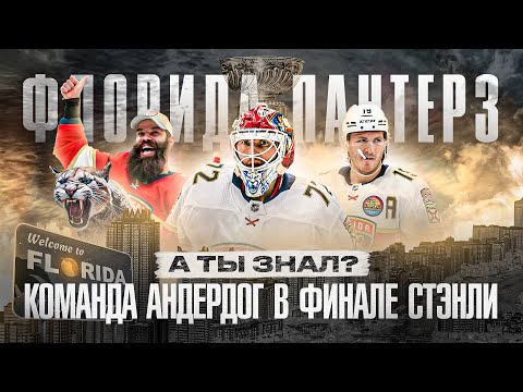 Видео: СЕКРЕТ УСПЕХА Флориды в Кубке Стэнли РАСКРЫТ? СУМАСШЕДШИЕ ПАНТЕРЫ