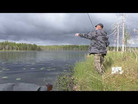 Видео: Витёк и Касатоныч на рыбалке, в Карелии. Ловим на спиннинг и удочку.