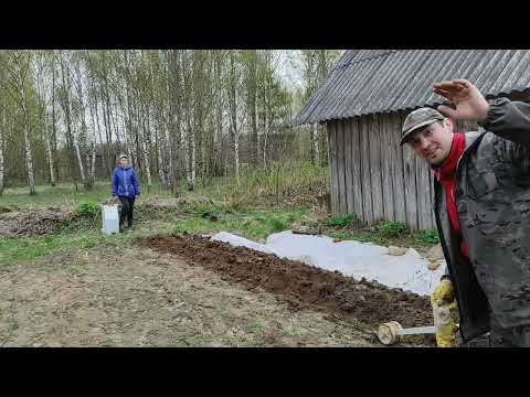 Видео: Посадка картошки электроплугом лебедкой сельскохозяйственной производства ЛС 100А Беларусь