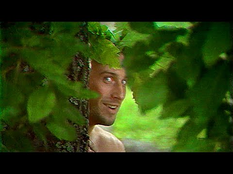 Видео: НОМ "СВИНУХ" / NOM "SWINUH" 1990