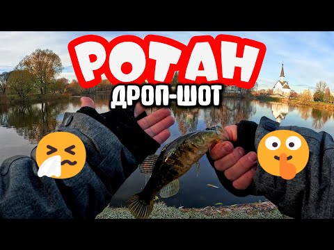 Видео: Рыбалка по первому снегу: Ищу трофейного ротана в некомфортных условиях! #дропшот #стритфишинг
