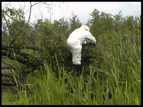 Видео: Тихая речка Теча