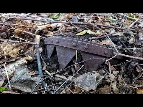 Видео: Находки вдоль нетронутых полей!