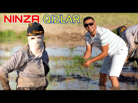 Видео: ҚИЗНИ ШОЛИ ОТИЗДАН ҚИДИРАСАНМИ?
