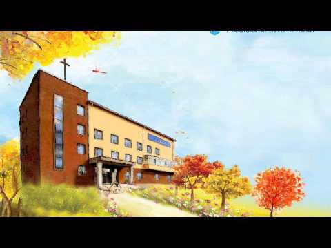 Видео: Шило радио №4