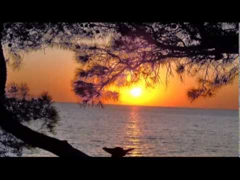 Видео: Ф. Шуберт - Вечерняя серенада F. Schubert - Serenade