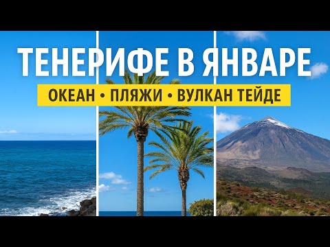 Видео: Тенерифе зимой. Тенерифе в Январе.  #travel #тенерифе #испания #tenerife #tenerifebeach