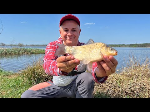 Видео: ЛОВИМО КАРАСЯ на розливах річки ІРПІНЬ. Рибалка на фідер в Квітні.