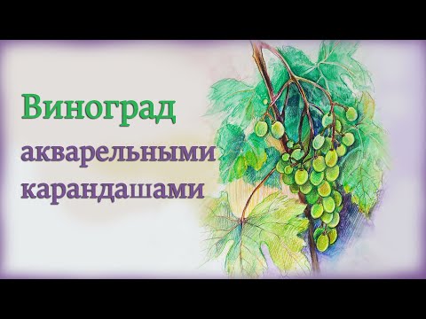 Видео: Неудачный пленэр. Акварельные карандаши