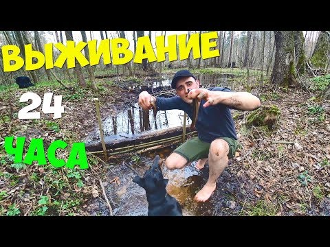 Видео: Выживание 24 часа! [1 Часть] Ловля вьюнов руками в болоте! Жарю вьюнов Шалаш