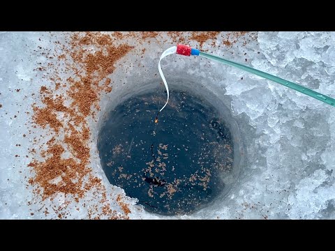 Видео: НЕРВЫ СДАЛИ...0.08 мм, А КРУПНЯК ЛУПИТ, ЧУТЬ НЕ СГОРЕЛ! Тонкая удочка трещит. Рыбалка 2025