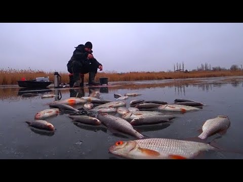 Видео: ЗИМНЯЯ РЫБАЛКА НА ПЛОТВУ И ЩУКУ 🔥 Первый Лëд