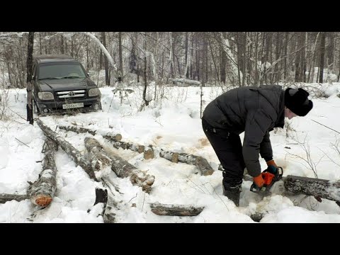 Видео: РАБОТАЮ ОДИН В ЛЕСУ!!! ЗАГОТОВКА ДРОВ!!!СБОР ВАЛЁЖНИКА!!!!!