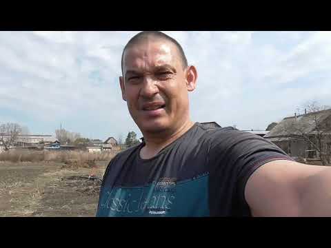 Видео: Начало огородного сезона 2022!!!Сеем фацелию на сидераты.