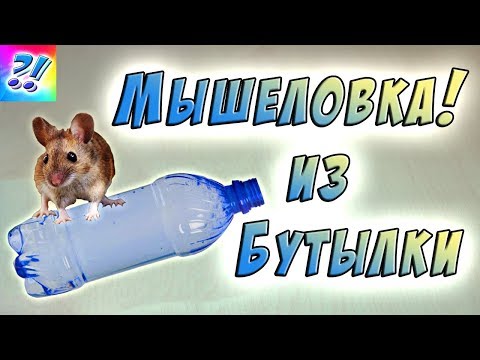 Видео: Мышеловка из пластиковой бутылки. Mousetrap from a plastic bottle.