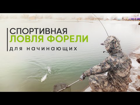 Видео: Спортивная ловля форели для начинающих. Ловля форели спиннингом на платнике