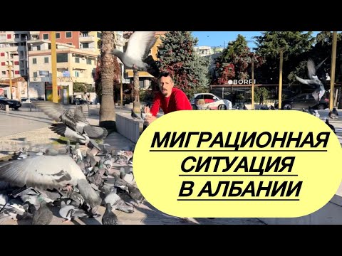 Видео: Миграционная ситуация в Албании #албания