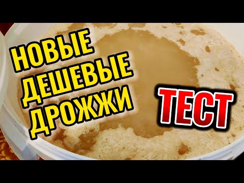 Видео: ДЕШЕВЫЕ ДРОЖЖИ ДЛЯ САХАРНОЙ БРАГИ. ТЕСТ ДРОЖЖЕЙ МИШКА ГОНИТ #мужскоехобби #самогон #обзор #брага