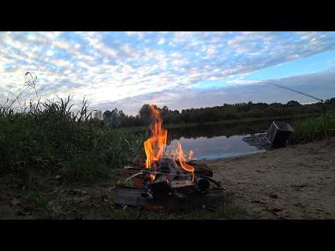 Видео: РЫБАЛКА С НОЧЕВКОЙ НА РЕКЕ БЕРЕЗИНА. ЛОВЛЯ ЛЕЩА И ЯЗЯ ФИДЕРОМ НА РЕКЕ  ОСЕНЬЮ. ОТДЫХ ДЛЯ ТЕЛА И ДУШИ