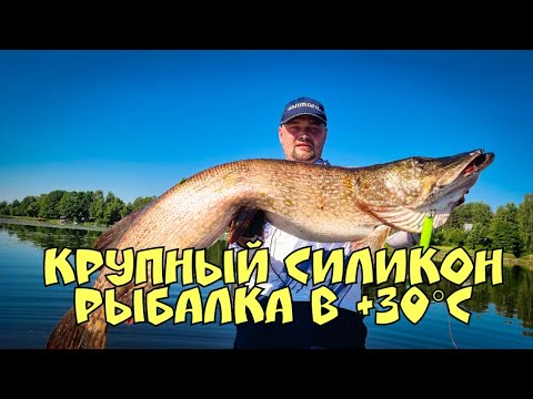 Видео: Крупный силикон. Рыбалка в летний зной!