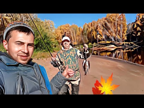 Видео: река северная. отвели душу на рыбалке