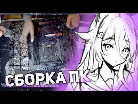 Видео: нубчан собирает пк