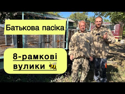 Видео: Вулики із очерету. Про високе дно у вуликах. Восьмирамники повернулися з поля.🌻