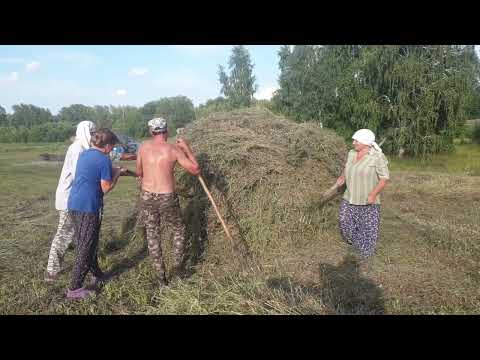 Видео: Сенокос руками как раньше