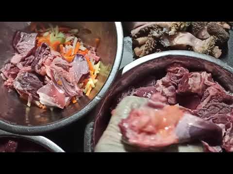 Видео: Кормление собак в питомнике Unerschrocken.