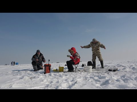 Видео: Лицензии на рыбалку в Капчагае.Лазурный берег.090225. #капчагай #рыбалка #лицензия #мормышка