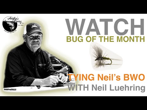 Видео: ОШИБКА МЕСЯЦА — сухая мушка Blue Wing Olive с Нилом Люрингом