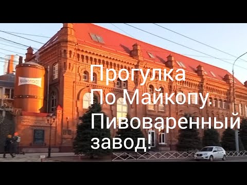 Видео: Майкопский пивоваренный завод/Этапы варки пива/Экскурсия в ресторане/
