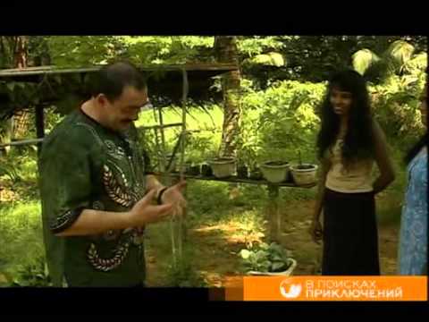 Видео: В поисках приключений   Шри Ланка 3